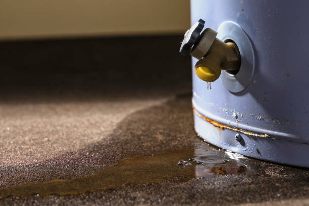 Professional Water damage restoration in Turners Falls, MA