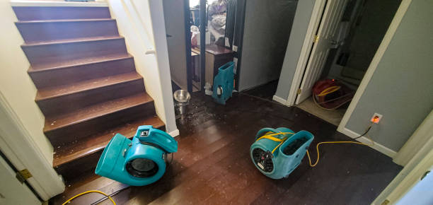 Best Water damage restoration experts  in Turners Falls, MA