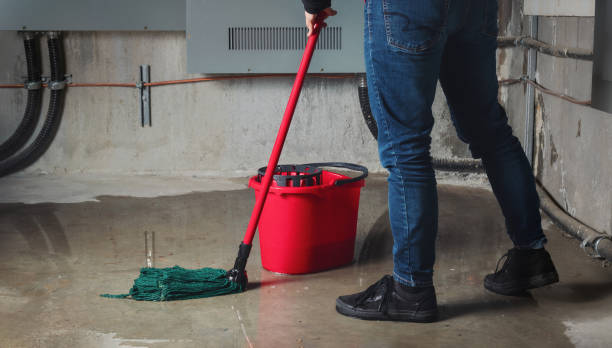 Best Water damage restoration mold remediation  in Turners Falls, MA