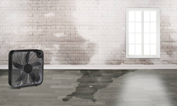 Best Sewage cleanup and water damage restoration  in Turners Falls, MA